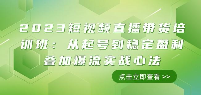 2023短视频直播带货培训班：从起号到稳定盈利叠加爆流实战心法（11节课）-点子口袋网