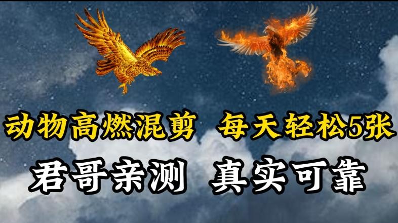 动物超燃混剪，每天轻松5张，剪辑简单大家爱看【揭秘】-点子口袋网