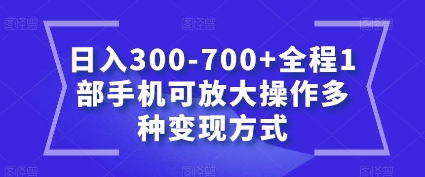 日入300-700+全程1部手机可放大操作多种变现方式【揭秘】-点子口袋网