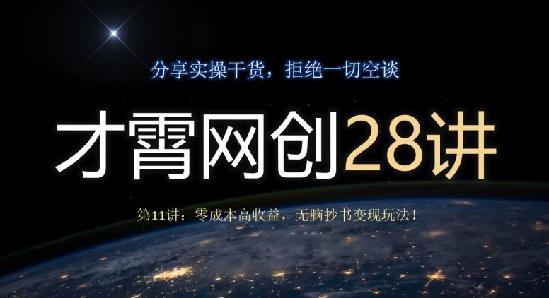 才霄网创28讲第11讲：零成本高收益，无脑抄书变现玩法！-点子口袋网