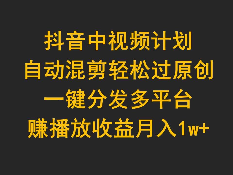 (9825期)抖音中视频计划，自动混剪轻松过原创，一键分发多平台赚播放收益，月入1w+-点子口袋网