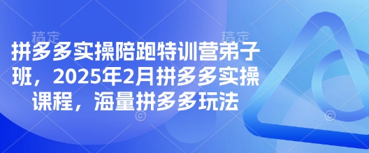 拼多多实操陪跑特训营弟子班，2025年2月拼多多实操课程，海量拼多多玩法-点子口袋网