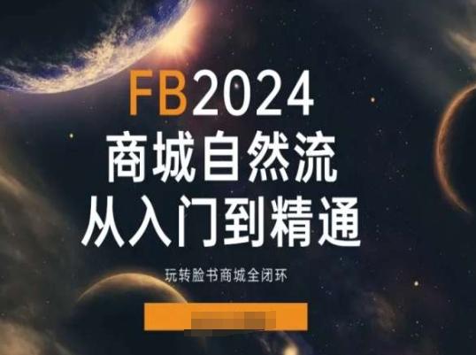 2024Faceboo商城自然流(从入门到精通)，玩转脸书商城全闭环-点子口袋网