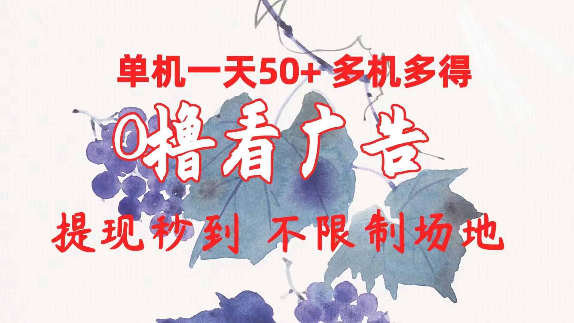 0撸看广告 单机一天50+多机多得 提现秒到 不限制场地操作-点子口袋网