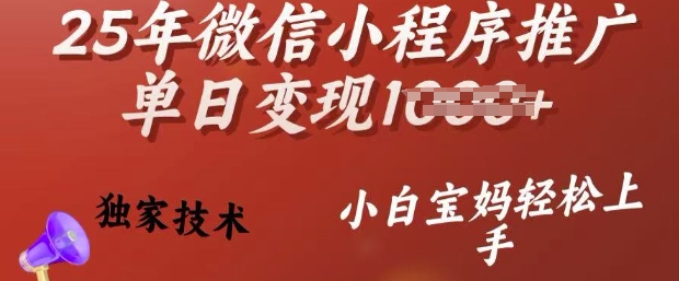 25年微信小程序推广单日变现多张，独家技术，小白宝妈轻松上手【揭秘】-点子口袋网