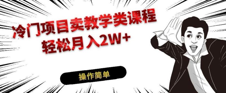 冷门项目卖教学类课程，轻松月入2W+-点子口袋网