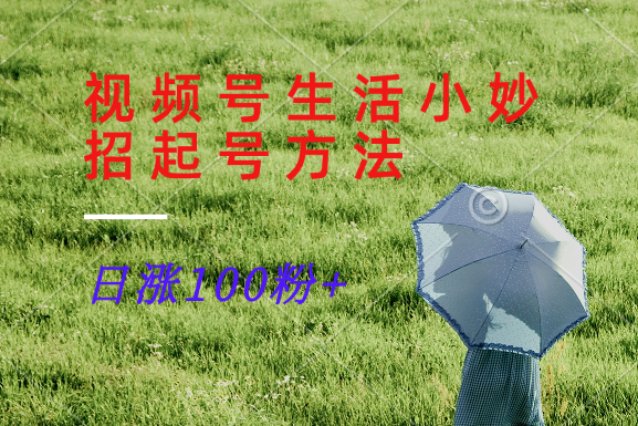 视频号生活小妙招分享赛道， 起号涨粉新方法，日涨100粉-点子口袋网