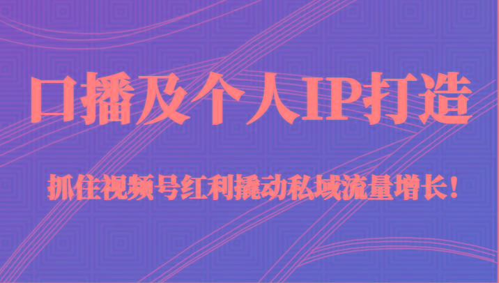 口播及个人IP打造，抓住视频号红利撬动私域流量增长！（45节课）-点子口袋网