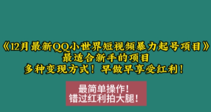 12月最新QQ小世界短视频暴力起号项目，最适合新手的项目，多种变现方式-点子口袋网