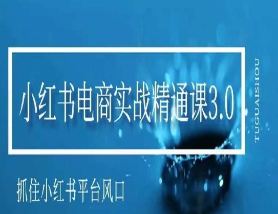 小红书电商实战精通课3.0，抓住小红书平台的风口，不错过有一个赚钱的机会-点子口袋网