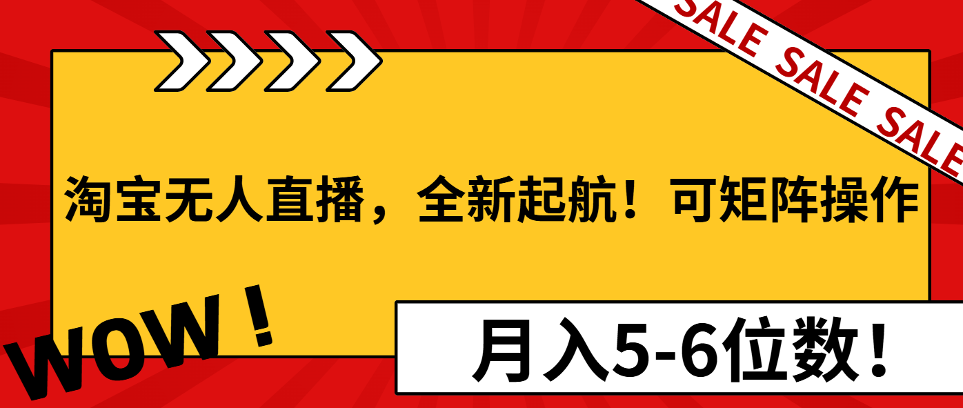 淘宝无人直播，全新起航！可矩阵操作，月入5-6位数！-点子口袋网