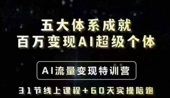 五大体系成就百万变现AI超级个体- AI流量变现特训营，一步一步教你一个人怎么年入百W-点子口袋网