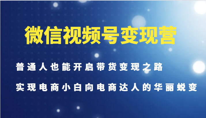 微信视频号变现营-普通人也能开启带货变现之路，实现电商小白向电商达人的华丽蜕变-点子口袋网