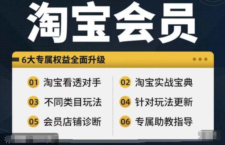 淘宝会员【淘宝所有课程，全面分析对手】，初级到高手全系实战宝典-点子口袋网
