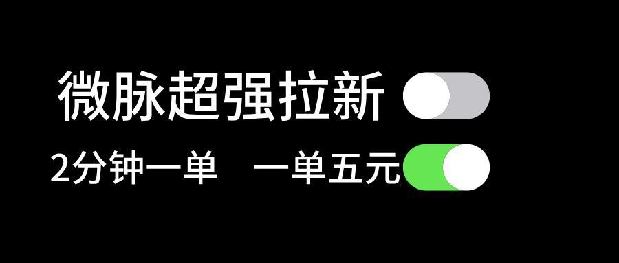 微脉超强拉新， 两分钟1单， 一单利润5块，适合小白-点子口袋网