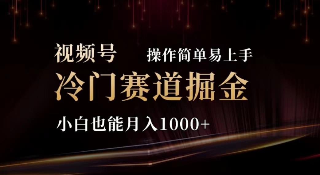 2024视频号冷门赛道掘金，操作简单轻松上手，小白也能月入1000+-点子口袋网