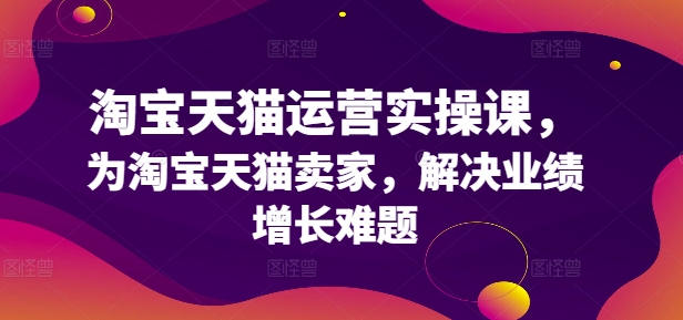 淘宝天猫运营实操课，为淘宝天猫卖家，解决业绩增长难题-点子口袋网