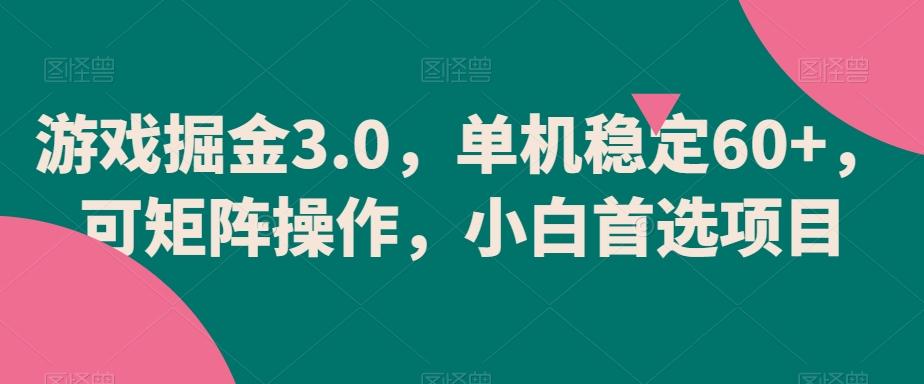 游戏掘金3.0，单机稳定60+，可矩阵操作，小白首选项目【揭秘】-点子口袋网