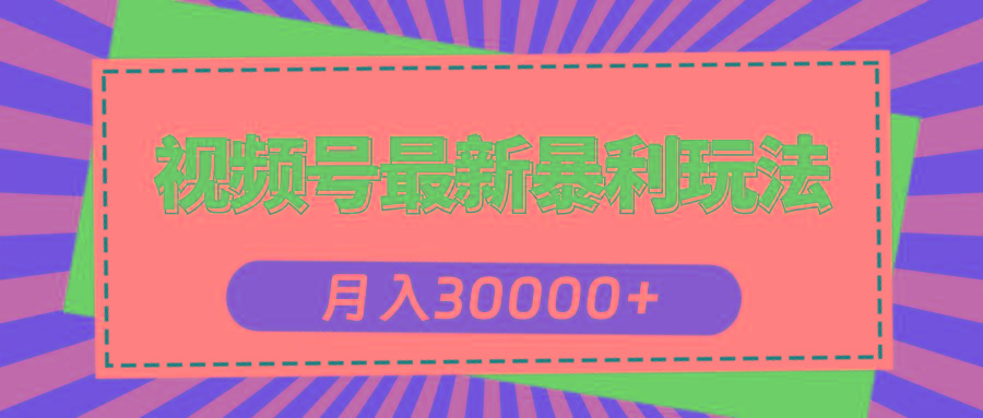 视频号最新暴利玩法，轻松月入30000+-点子口袋网