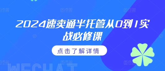 2024速卖通半托管从0到1实战必修课，掌握通投广告打法、熟悉速卖通半托管的政策细节-点子口袋网