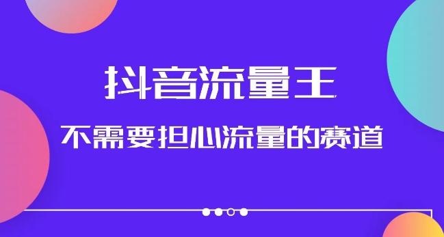 抖音流量王，不需要担心流量的赛道，美女图文音乐号升级玩法（附实操+养号流程）-点子口袋网