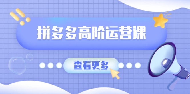 拼多多高阶运营课：极致群爆款玩法，轻付费无尽复制，打造单品爆款之路-点子口袋网