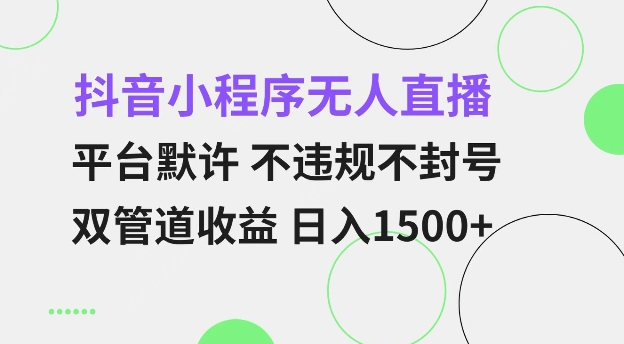 抖音小程序无人直播 平台默许 不违规不封号 双管道收益 日入多张 小白也能轻松操作【仅揭秘】-点子口袋网