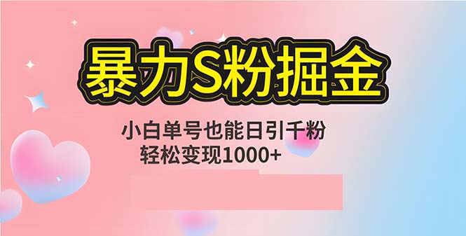 单人单机日引千粉，变现1000+，S粉流量掘金计划攻略-点子口袋网