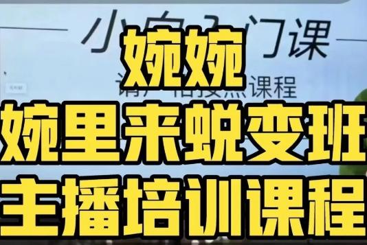 婉婉·婉里来蜕变班（主播课）全方位理解底层逻辑并灵活运用-点子口袋网