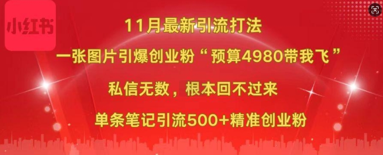 小红书11月最新图片打粉，一张图片引爆创业粉，“预算4980带我飞”，单条引流500+精准创业粉-点子口袋网