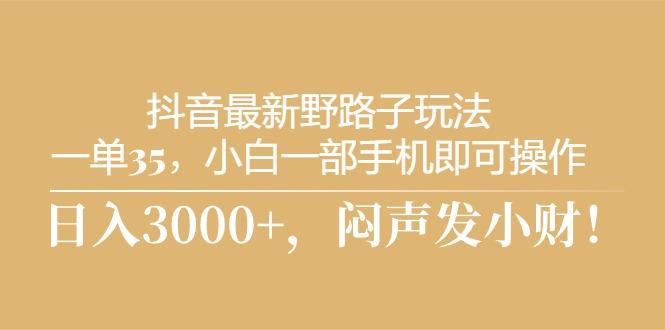 抖音最新野路子玩法，一单35，小白一部手机即可操作，，日入3000+，闷...-点子口袋网
