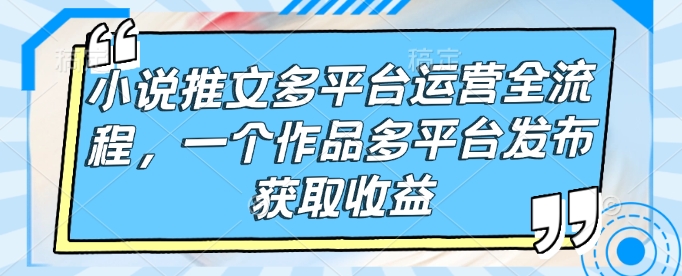小说推文多平台运营全流程，一个作品多平台发布获取收益-点子口袋网