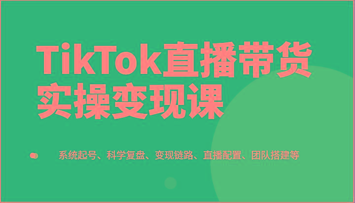 TikTok直播带货实操变现课：系统起号、科学复盘、变现链路、直播配置、团队搭建等-点子口袋网