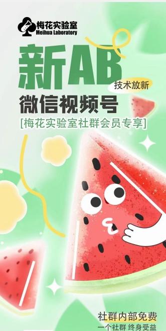 梅花实验室2024年AB技术视频号AB合成破解版-点子口袋网