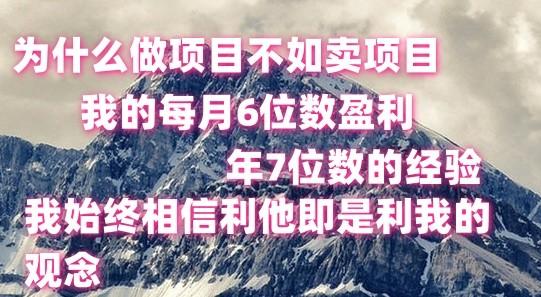 做项目不如卖项目，每月6位数盈利，年7位数经验-点子口袋网
