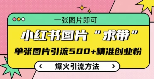 小红书图片‘求带’爆火引流法，单张图片引流500+精准创业粉【揭秘】-点子口袋网