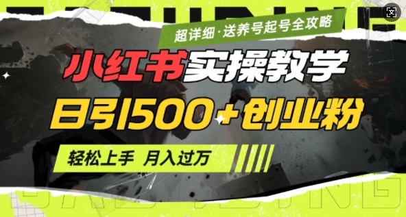 2月小红书最新日引500+创业粉实操教学【超详细】小白轻松上手，月入1W+，附小红书养号起号SOP-点子口袋网
