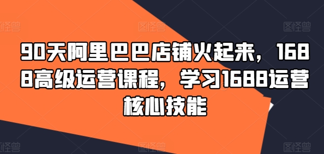 90天阿里巴巴店铺火起来，1688高级运营课程，学习1688运营核心技能-点子口袋网