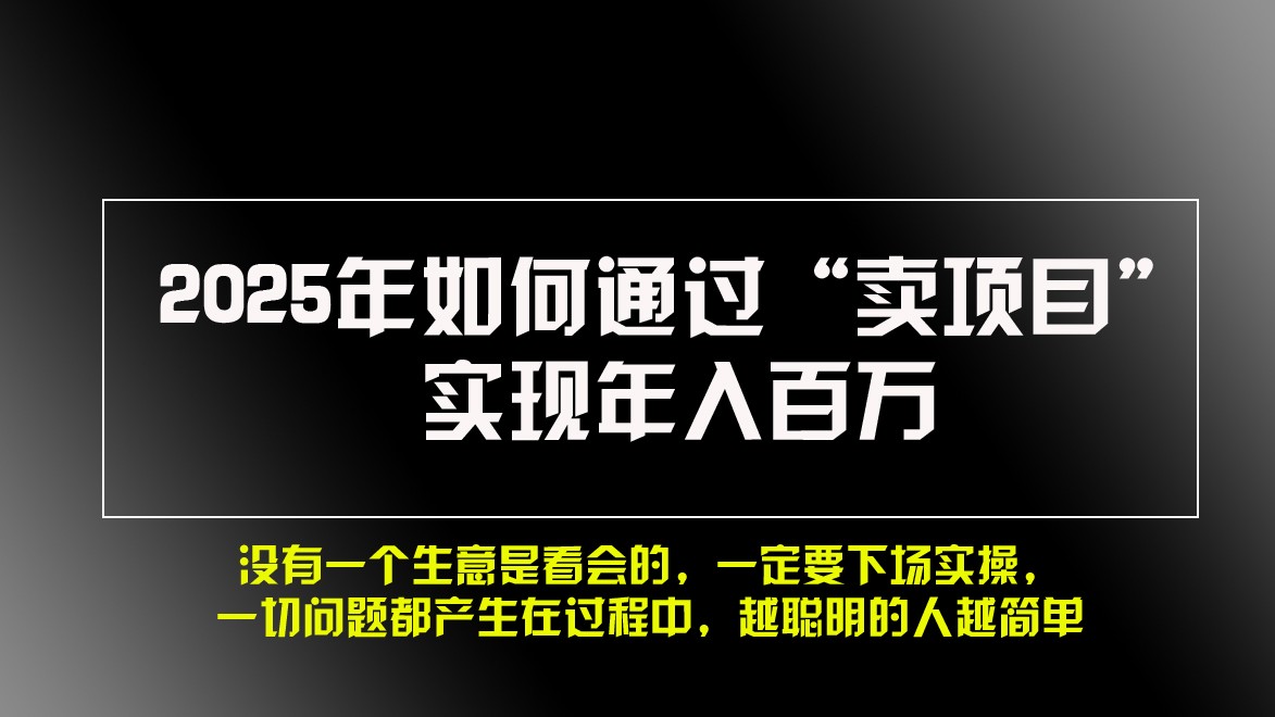 2025年如何通过“卖项目”实现年入百万-点子口袋网