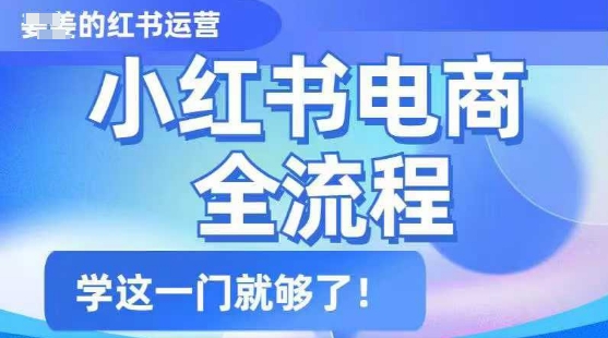 小红书电商全流程，精简易懂，从入门到精通，学这一门就够了-点子口袋网