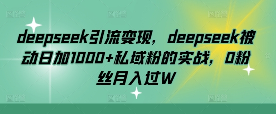 deepseek引流变现，deepseek被动日加1000+私域粉的实战，0粉丝月入过W-点子口袋网