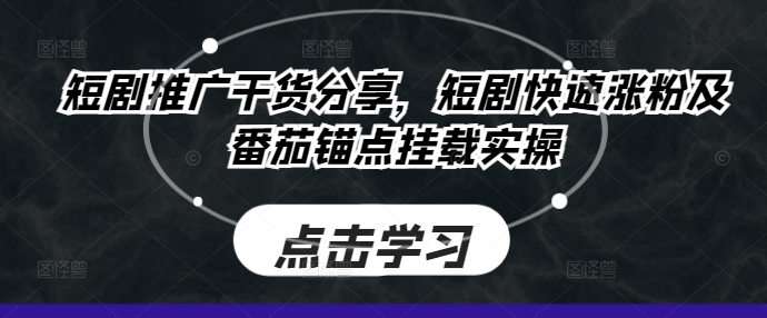 短剧推广干货分享，短剧快速涨粉及番茄锚点挂载实操-点子口袋网
