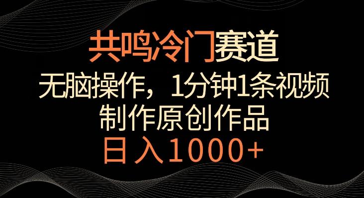共鸣冷门赛道，无脑操作，一分钟一条视频，日入1000+【揭秘】-点子口袋网