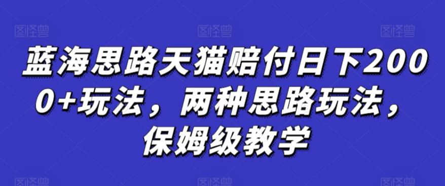 蓝海思路天猫赔付日下2000+玩法，两种思路玩法，保姆级教学【仅揭秘】-点子口袋网