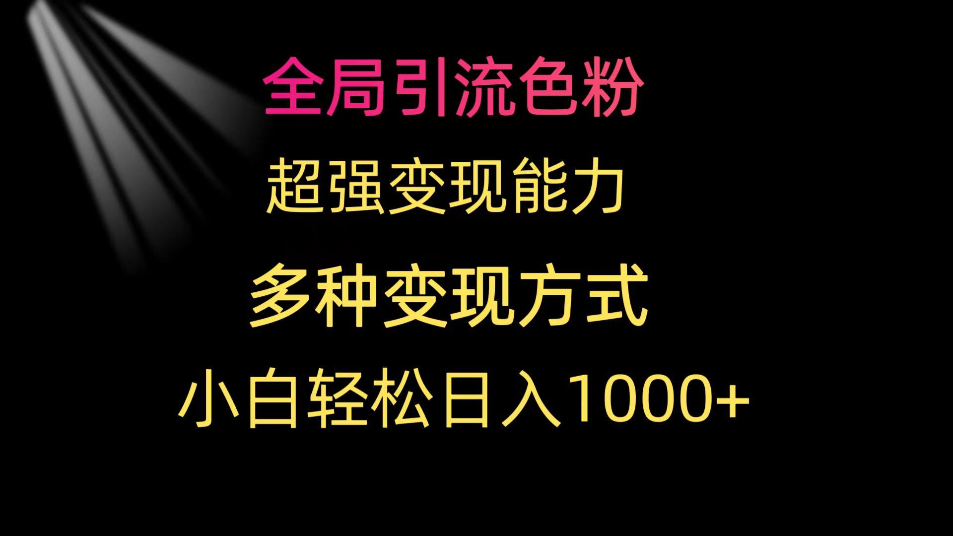 (9680期)全局引流色粉 超强变现能力 多种变现方式 小白轻松日入1000+-点子口袋网