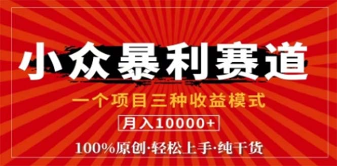 视频号最新爆火赛道，三种可收益模式，0粉新号条条原创条条热门 日入1000+-点子口袋网