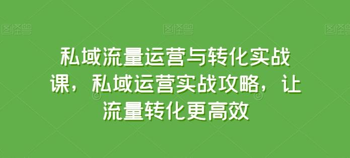 私域流量运营与转化实战课，私域运营实战攻略，让流量转化更高效-点子口袋网