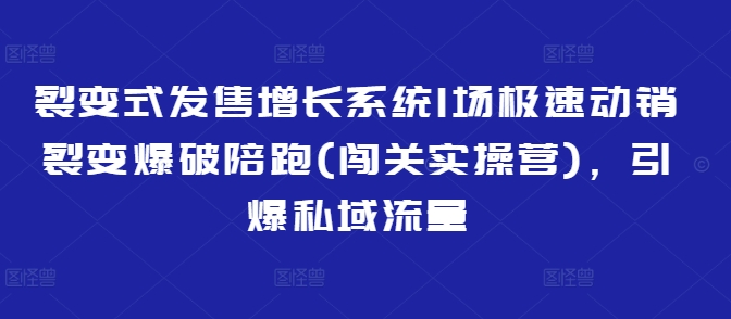 裂变式发售增长系统1场极速动销裂变爆破陪跑(闯关实操营)，引爆私域流量-点子口袋网