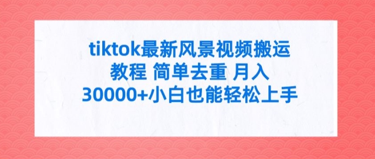 tiktok最新风景视频搬运教程 简单去重 月入3W+小白也能轻松上手【揭秘】-点子口袋网