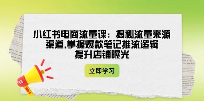 小红书电商流量课：揭秘流量来源渠道,掌握爆款笔记推流逻辑,提升店铺曝光-点子口袋网